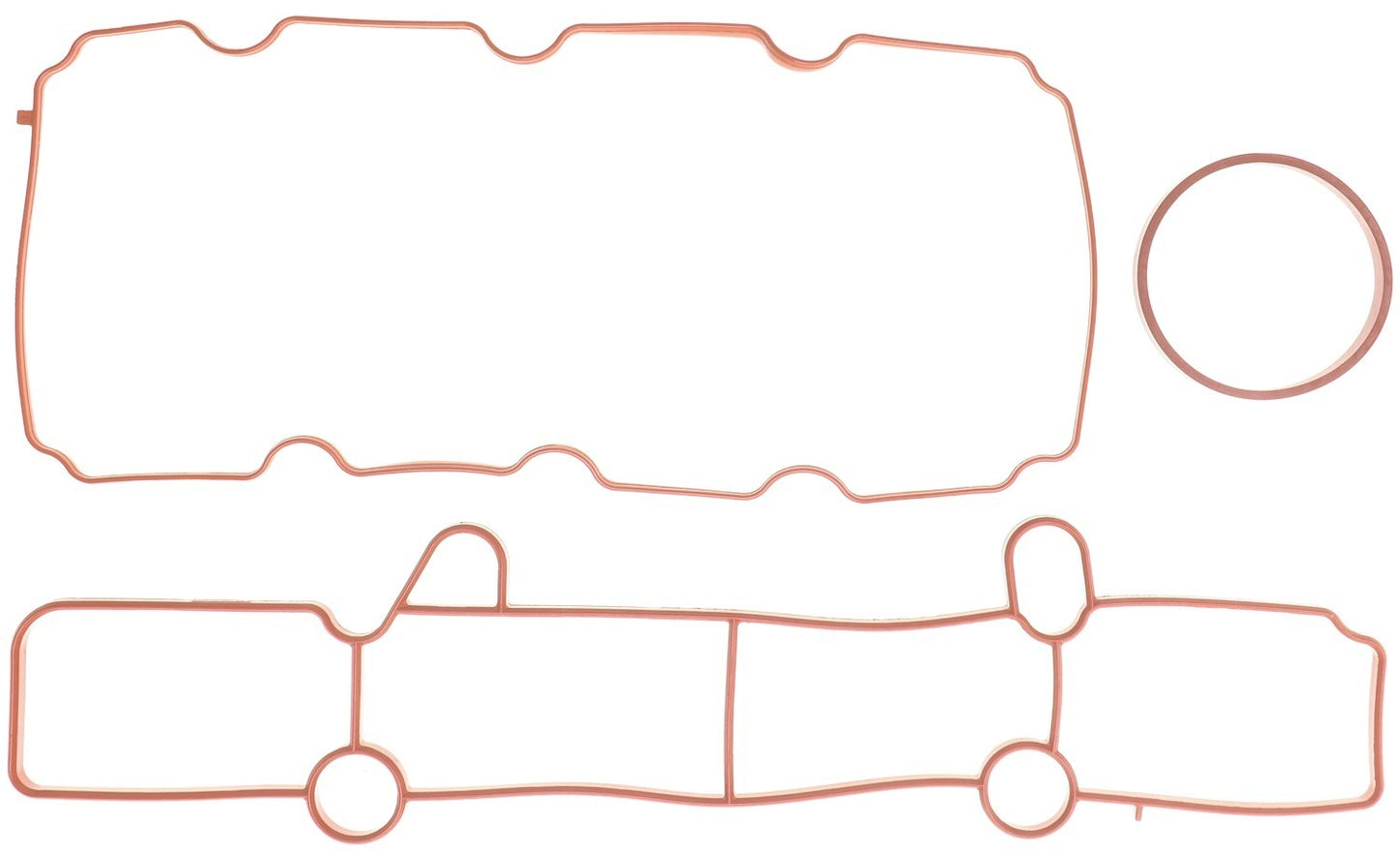 Mahle MS20553