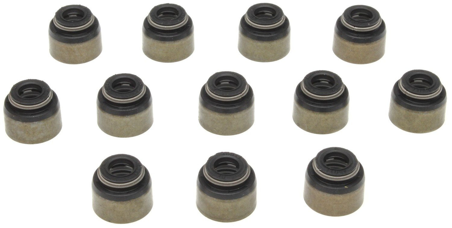 Mahle SS46011