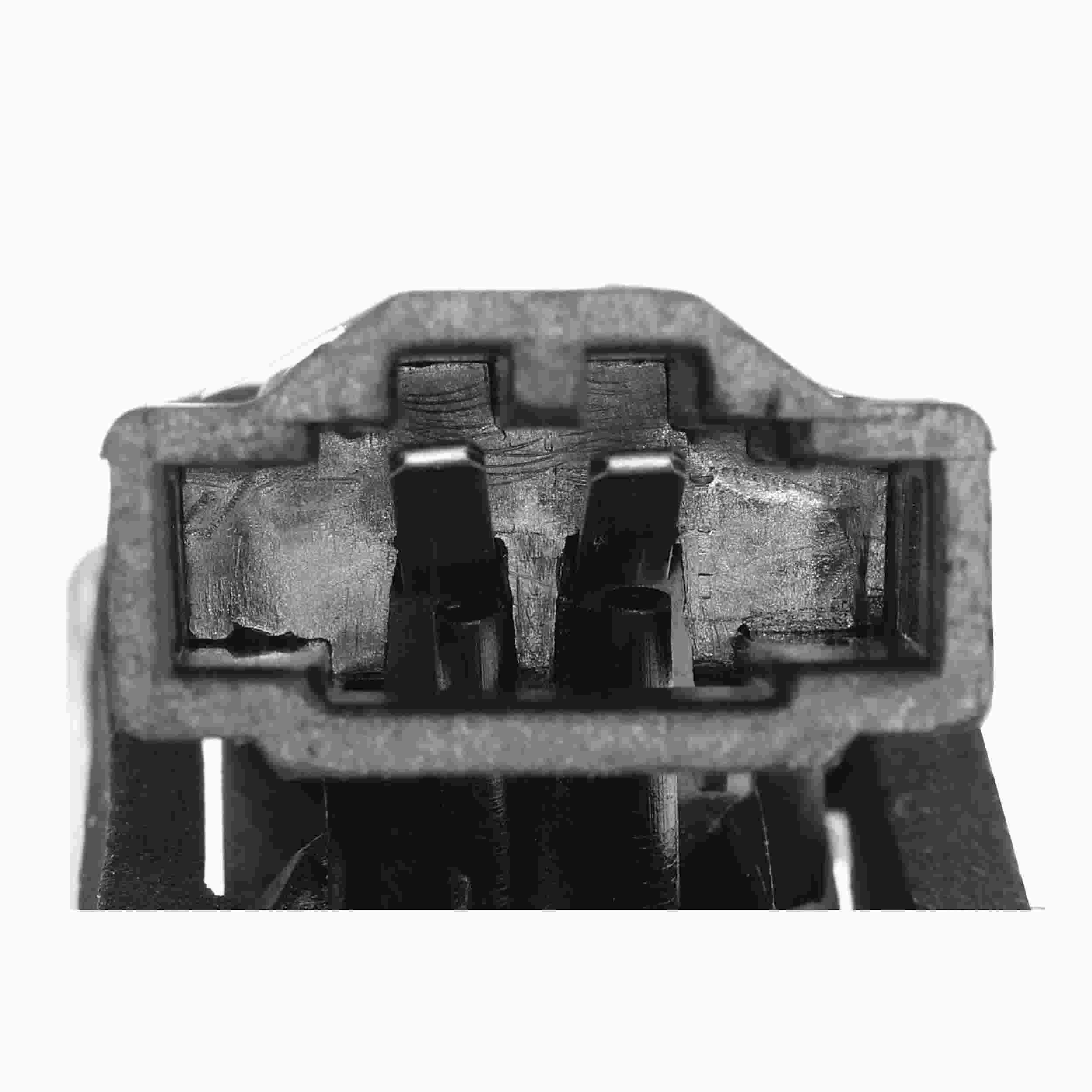 VEMO License Plate Light V10-84-0032