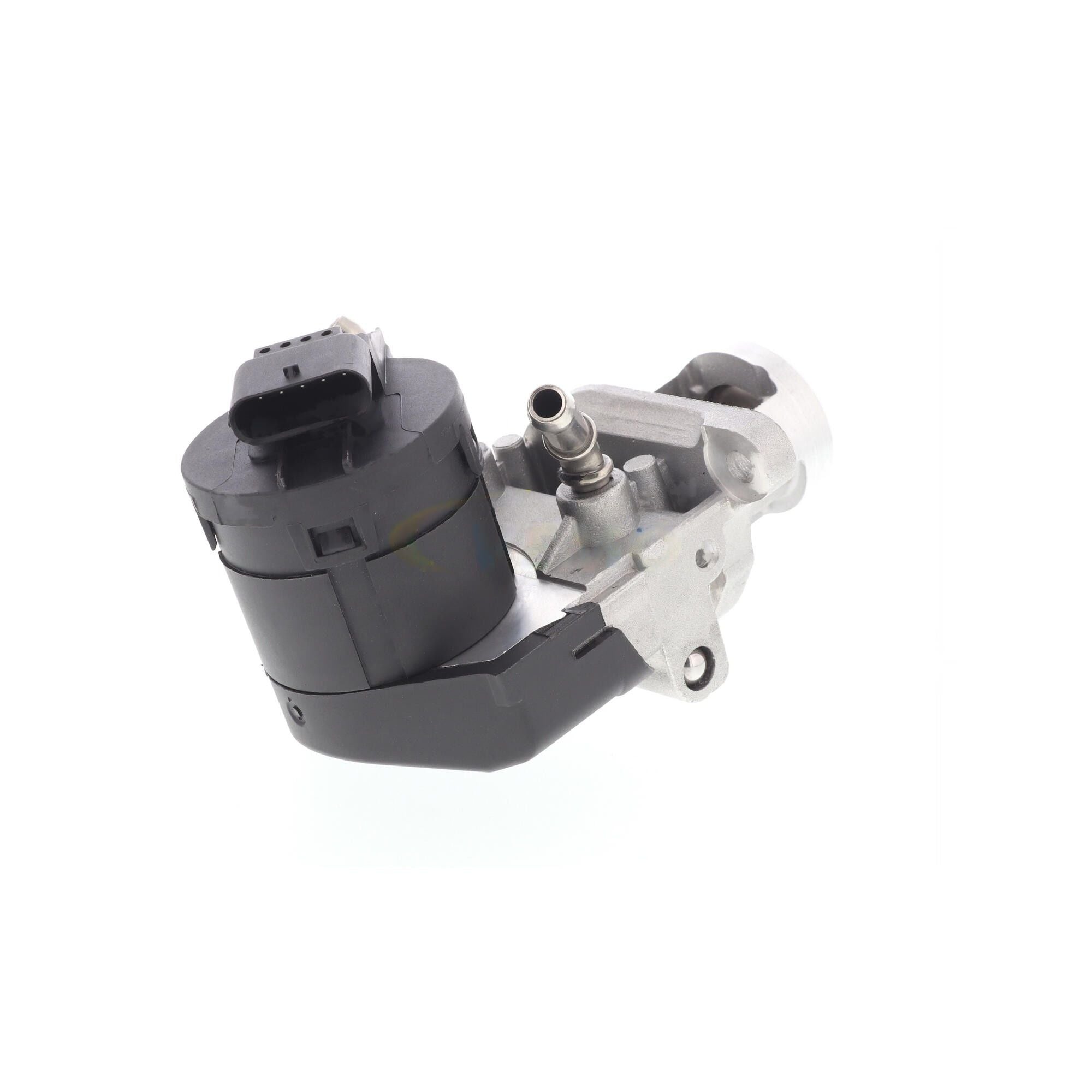 VEMO Exhaust Gas Recirculation (EGR) Valve V20-63-0012