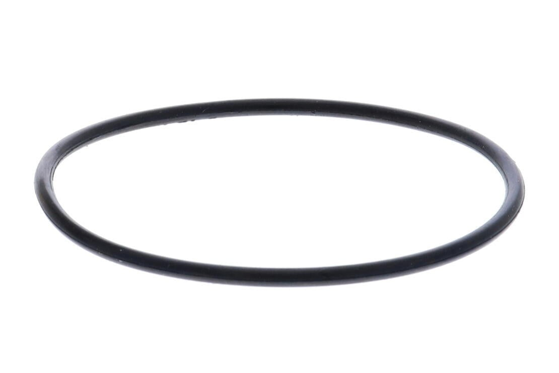 VEMO Engine Coolant Thermostat V20-99-0171