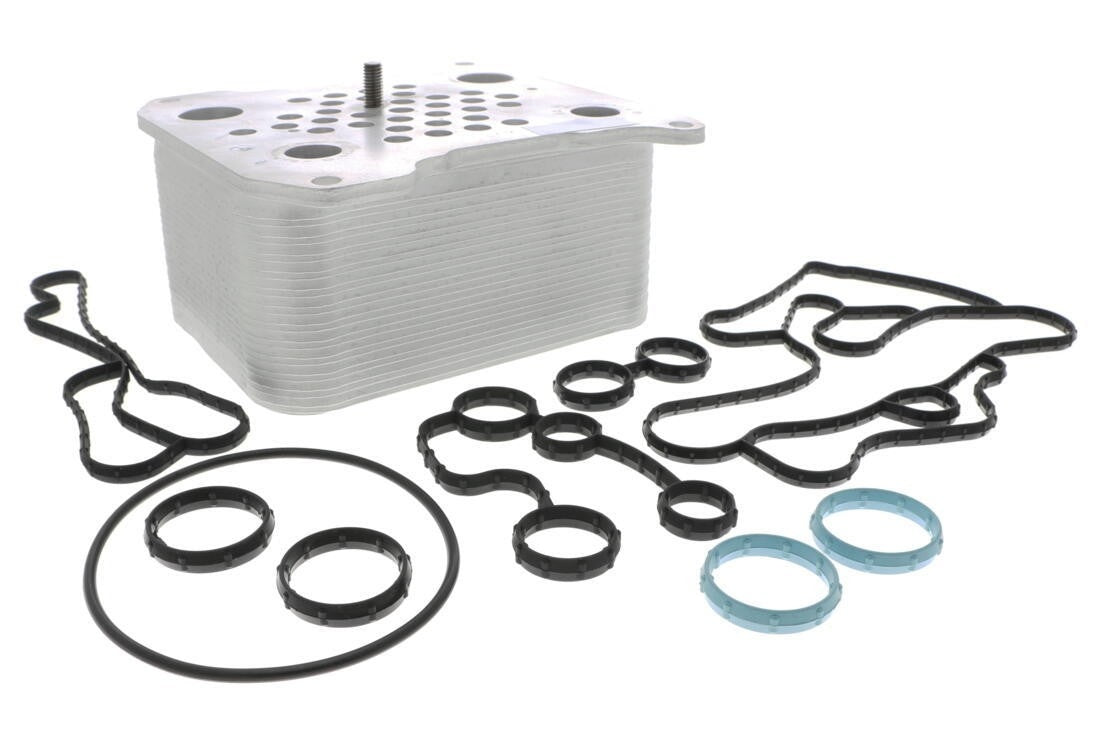 VEMO Engine Oil Cooler V25-60-0042