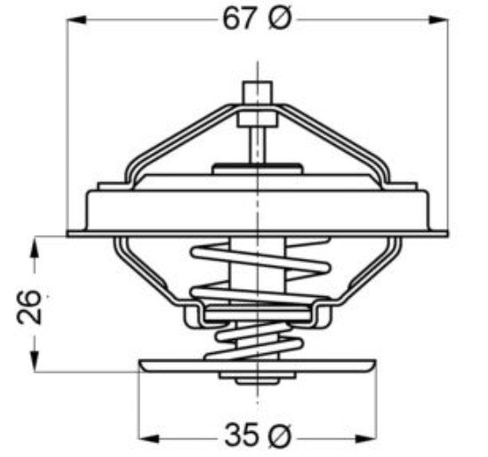 Wahler Engine Coolant Thermostat