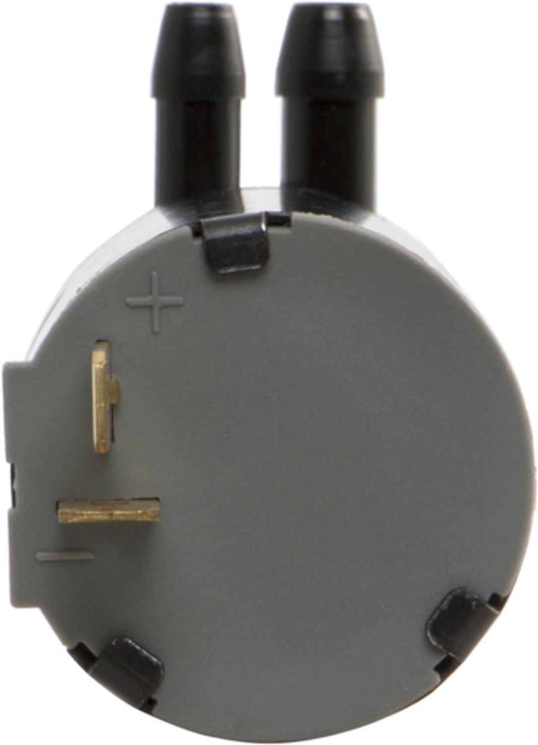 ACI Windshield Washer Pump 172686