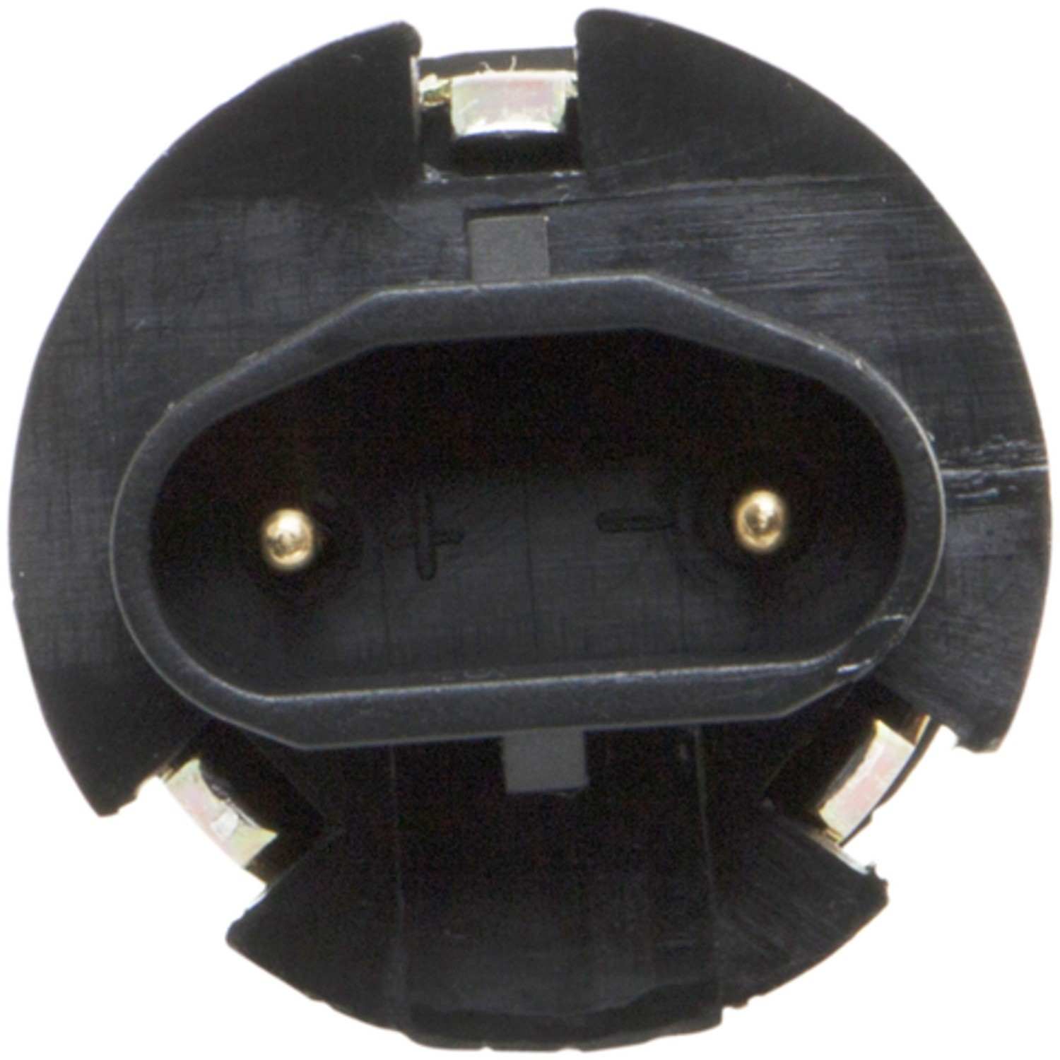 ACI Windshield Washer Pump 173964