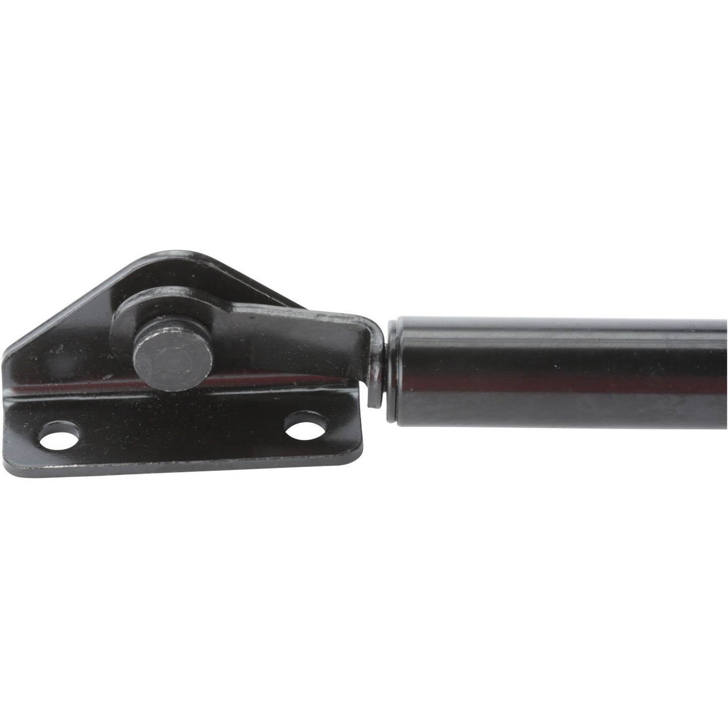 Strong Arm Tailgate Lift Support 4222