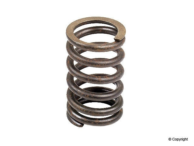 Allmakes Engine Valve Spring