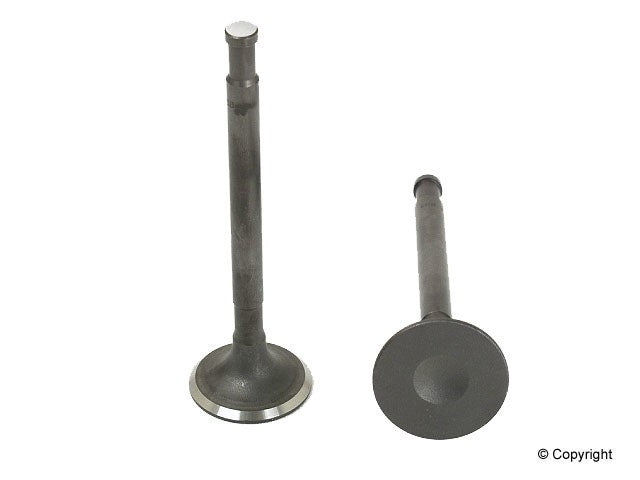 Allmakes Engine Exhaust Valve