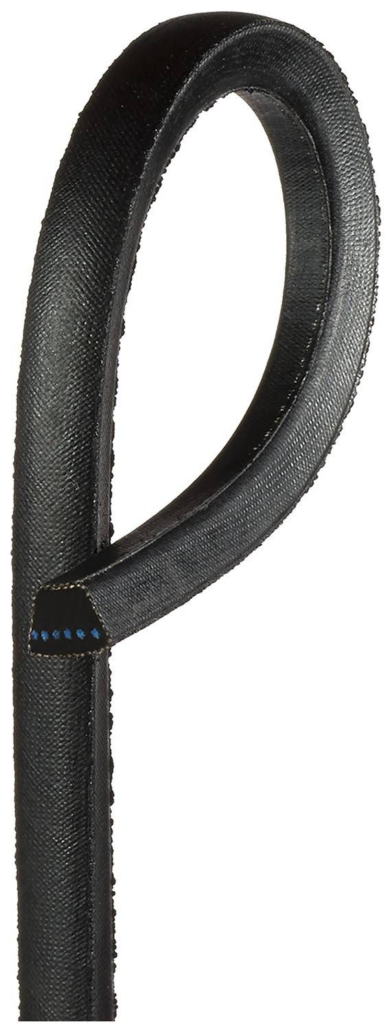 Gates Accessory Drive Belt 5537