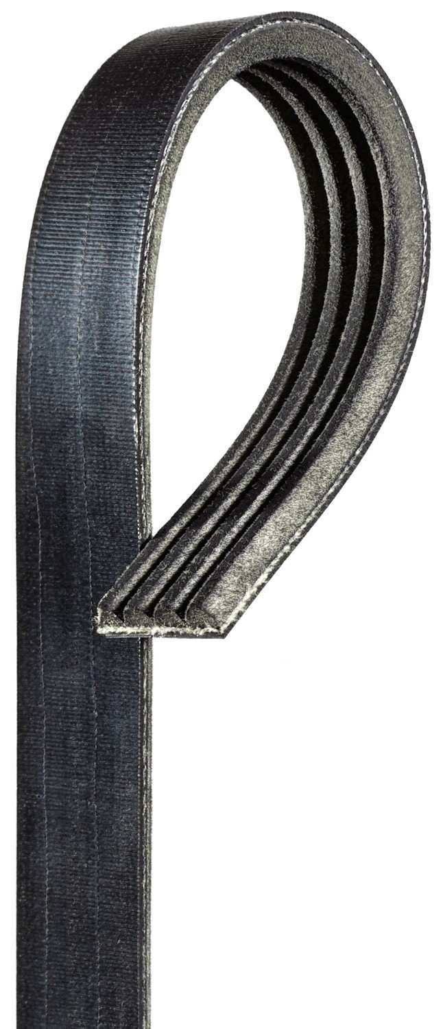 Gates Accessory Drive Belt 6841BR