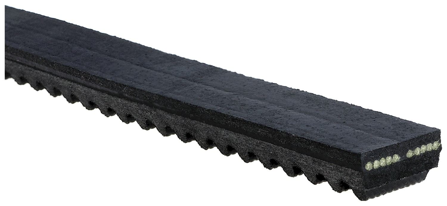 Gates Accessory Drive Belt BX42