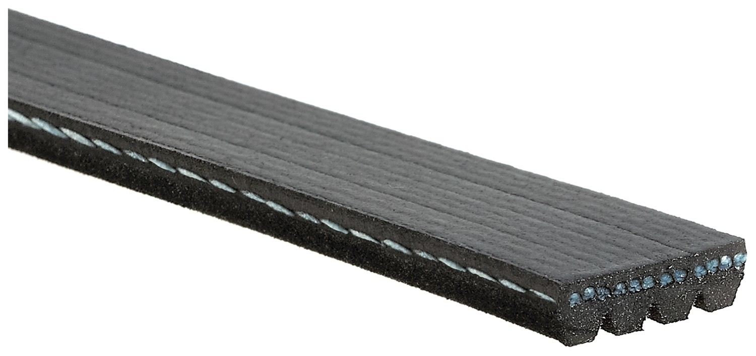 Gates V-Ribbed Power Steering Belt- Acura Integra B18