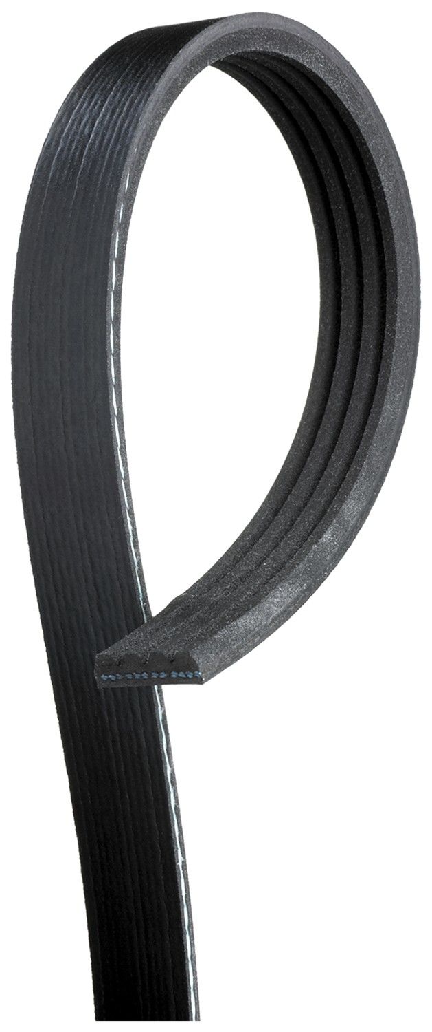 Gates V-Ribbed Power Steering Belt- Acura Integra B18