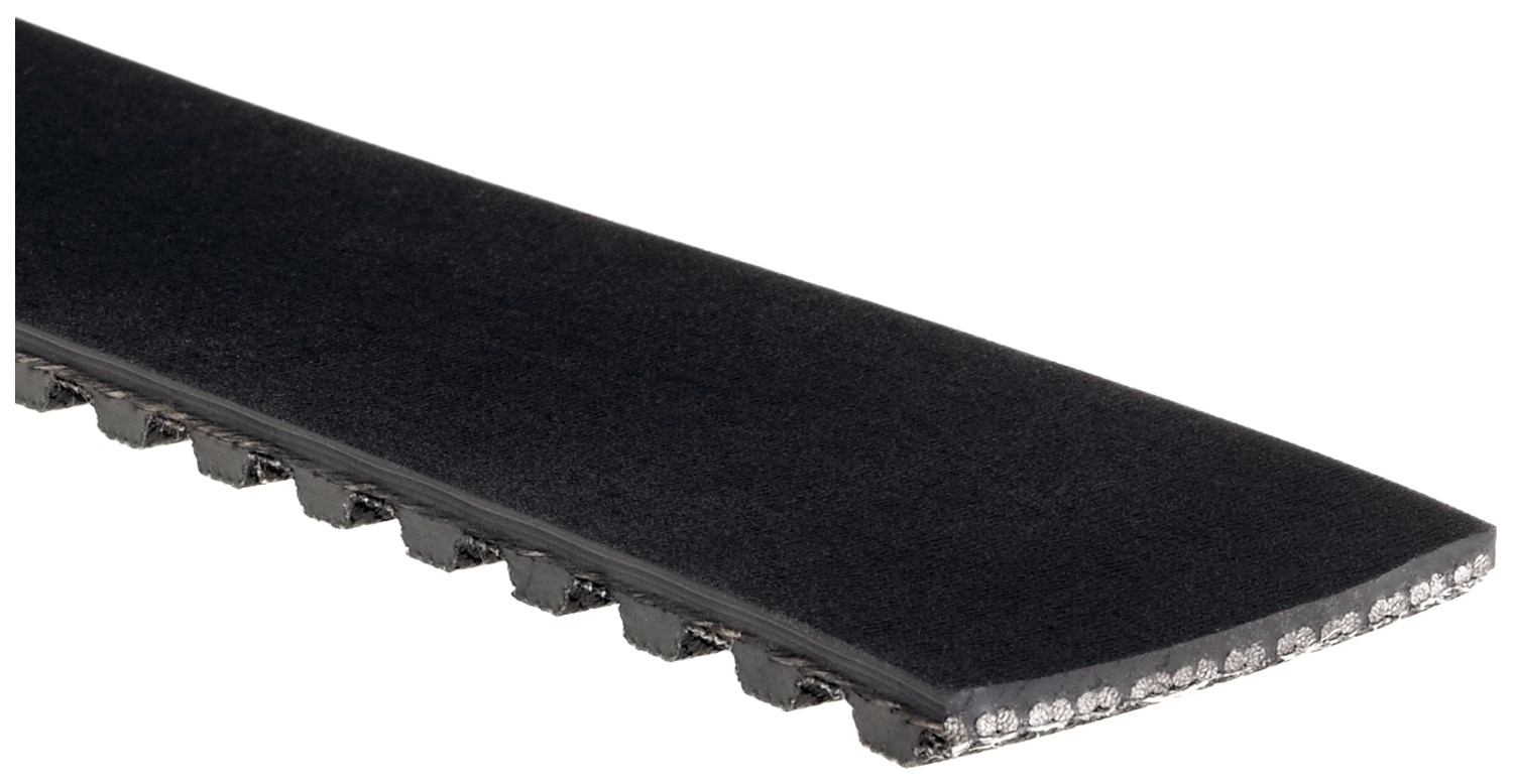 Gates Accessory Drive Belt