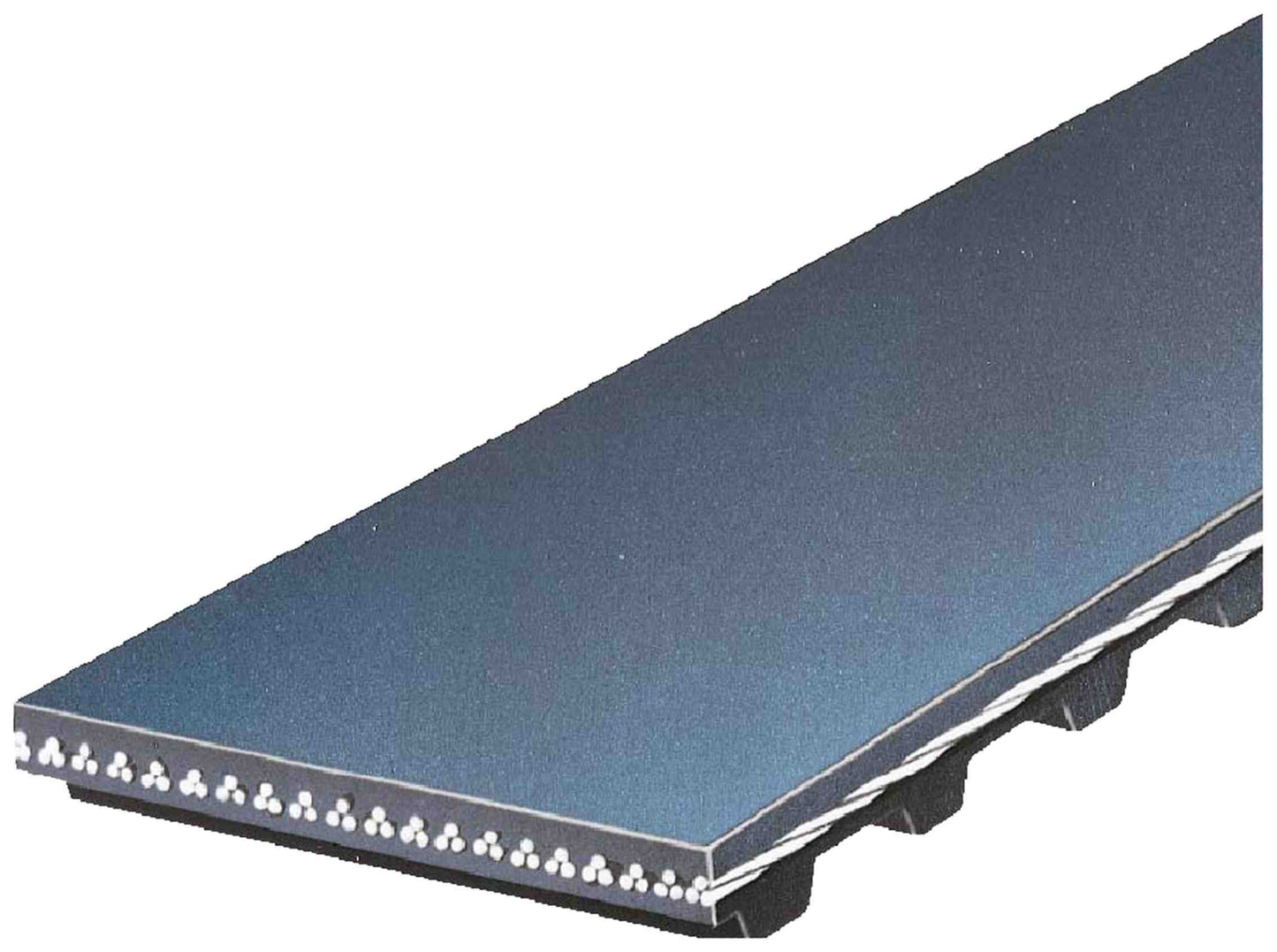 Gates Engine Timing Belt T126