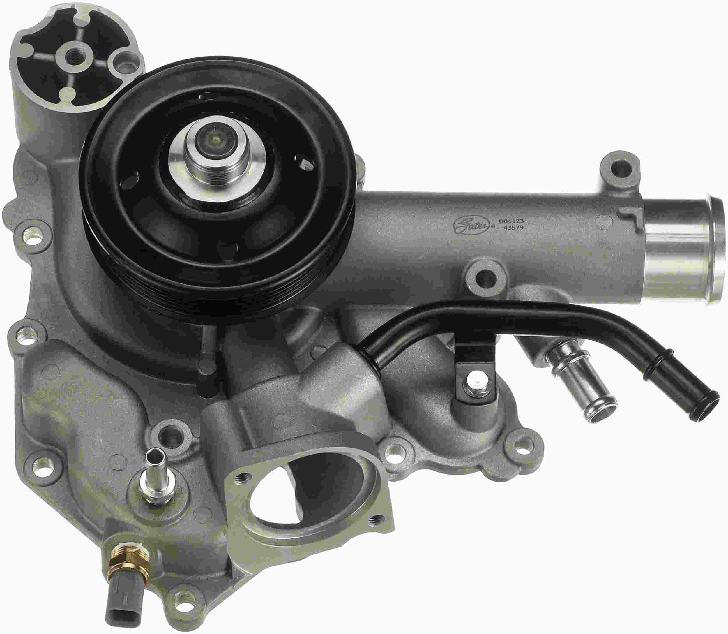 Gates 43579