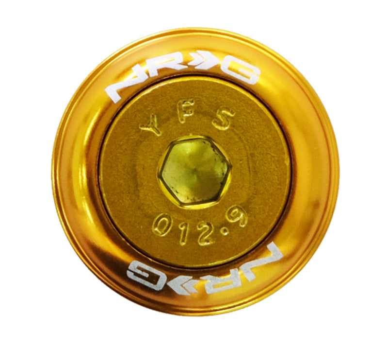 NRG Fender Washer Kit w/Color Matched M8 Bolt Rivets For Plastic (Rose Gold) - Set of 8 FW-800RG FW-800RG Photo - Primary