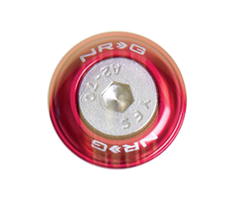 NRG Fender Washer Kit, Set of 10, Red, Rivets for Metal FW-110RD Photo - Primary