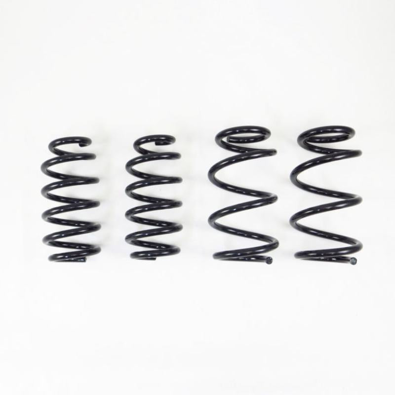 RS-R 19+ Tesla Model 3 Down Sus Springs TL002TD TL002TD User 1