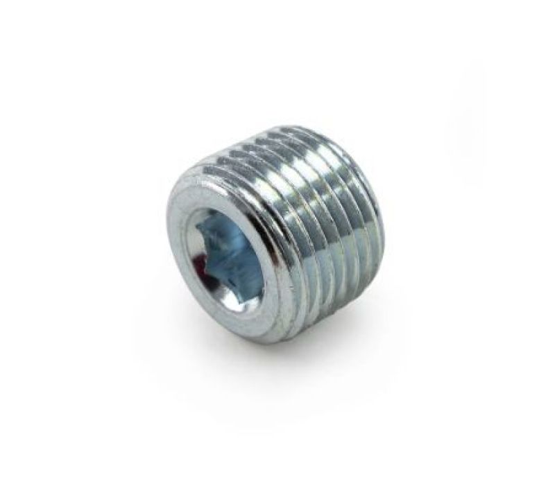 Killer B 1/2in NPT Chrome Plated Steel Plug NPTPL NPTPL User 1
