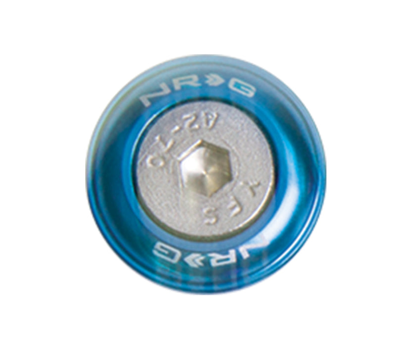 NRG Fender Washer Kit, Set of 10, Blue, Rivets for Metal FW-110BL Photo - Primary