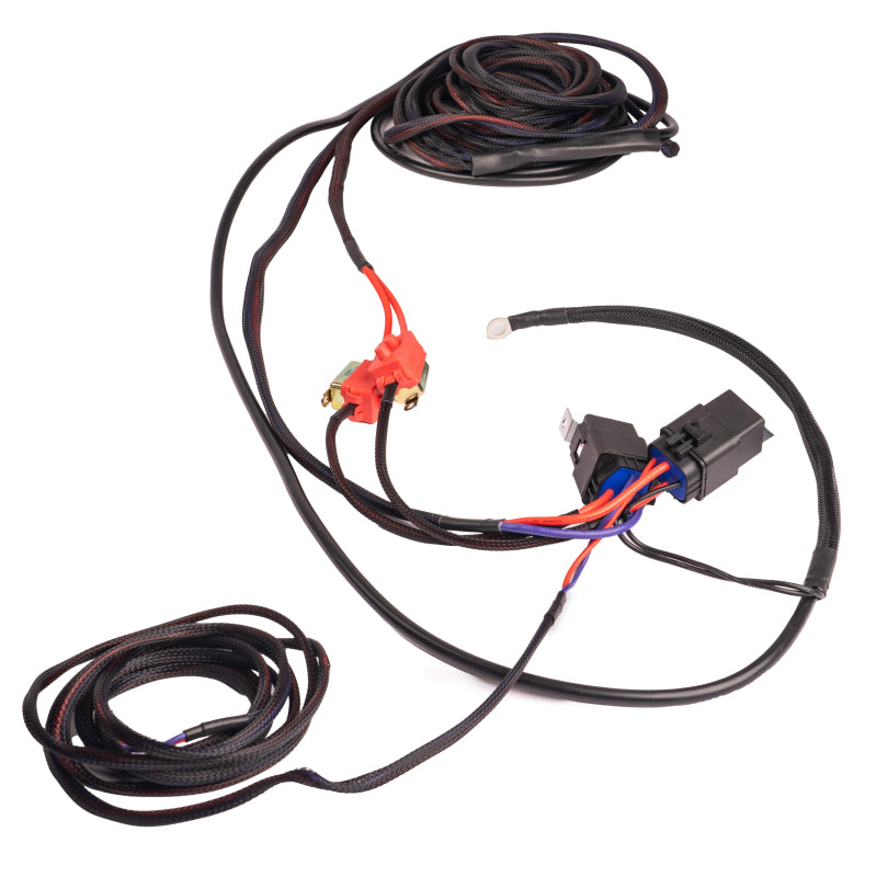 Aeromotive Wiring Harness Kit - Dual Fuel Pump 16312 16312 Photo - Primary