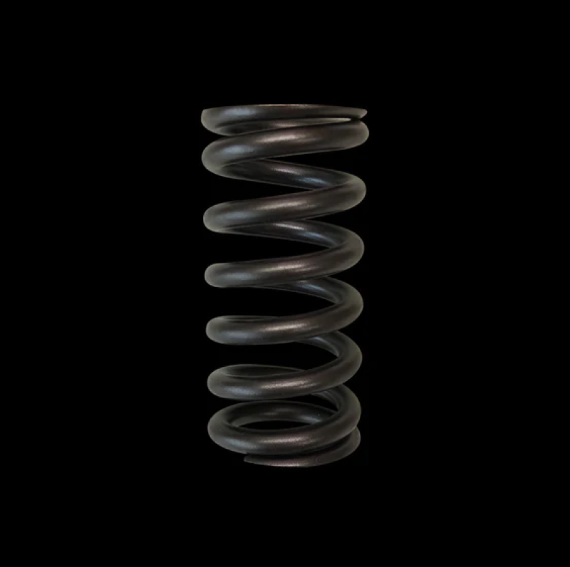 Brian Crower Toyota 2ZZFE Single Valve Spring BC1350 BC1350 User 1