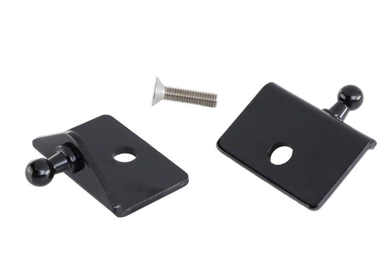 Ford Performance Parts Ford Racing 2005-2014 Mustang Hood Lift Kit w/ Laser Engraved Ford M-16826-M Photo - Unmounted