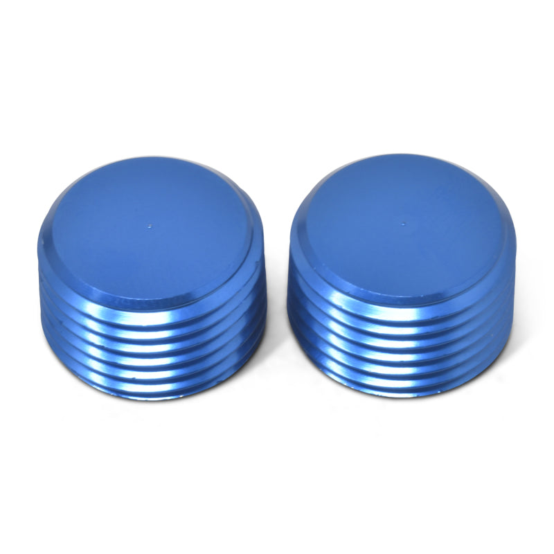 Russell 1/8" Aluminum Allen Socket Pipe Plugs (Blue Finish) 662030 Photo - out of package