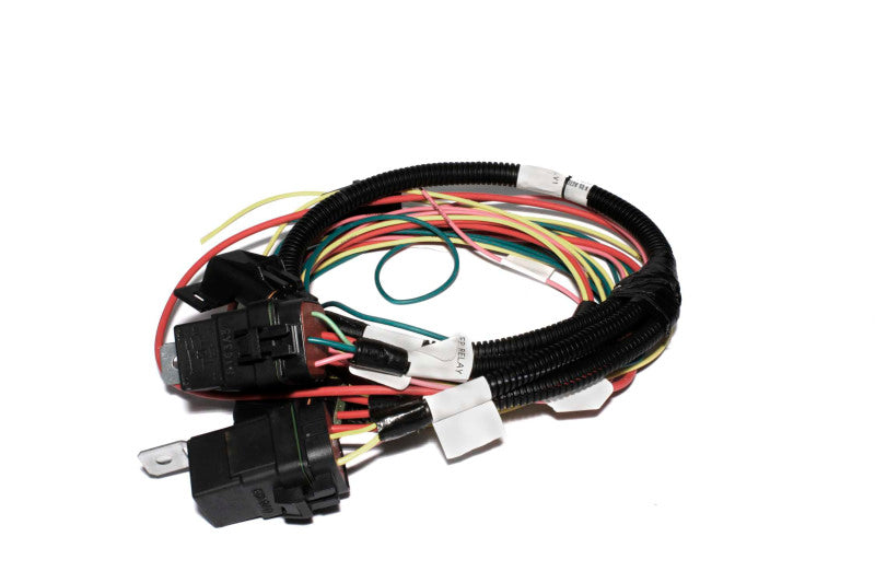 FAST Fuel Injection Harness 301406 Photo - Primary