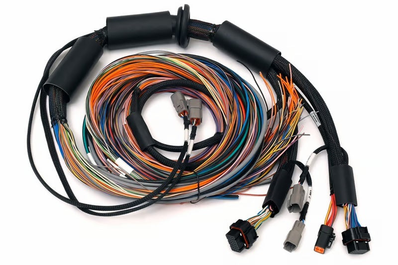 Haltech NEXUS R3 Universal Wire-In Harness - 2.5M (8ft) HT-183200 HT-183200 User 1