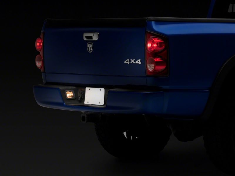 Raxiom 02-10 Dodge RAM 1500/2500 Axial Series OE Replacement License Plate Lamps R145024 R145024 Photo - Close Up