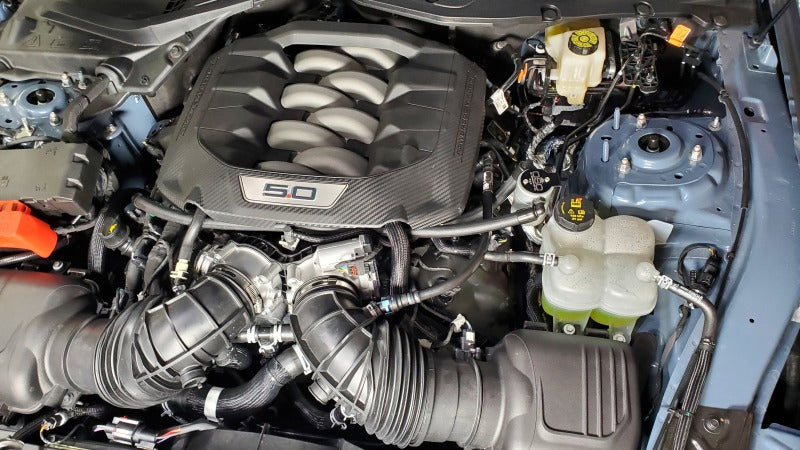 J&L 2024 Ford Mustang 5.0L Oil Separator 3.0 PCV Side - Clear Anodized 3091P-C 3091P-C Photo - Mounted