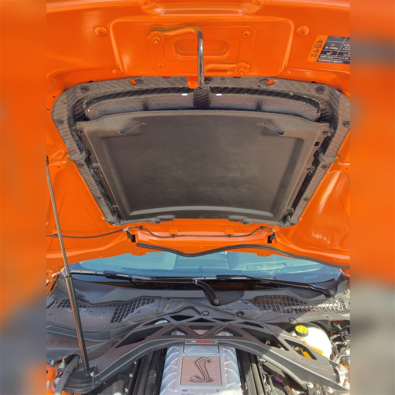 Ford Racing 20-21 Mustang GT500 Carbon Fiber Hood Vent Kit M-16612-C20 M-16612-C20 Photo - Mounted