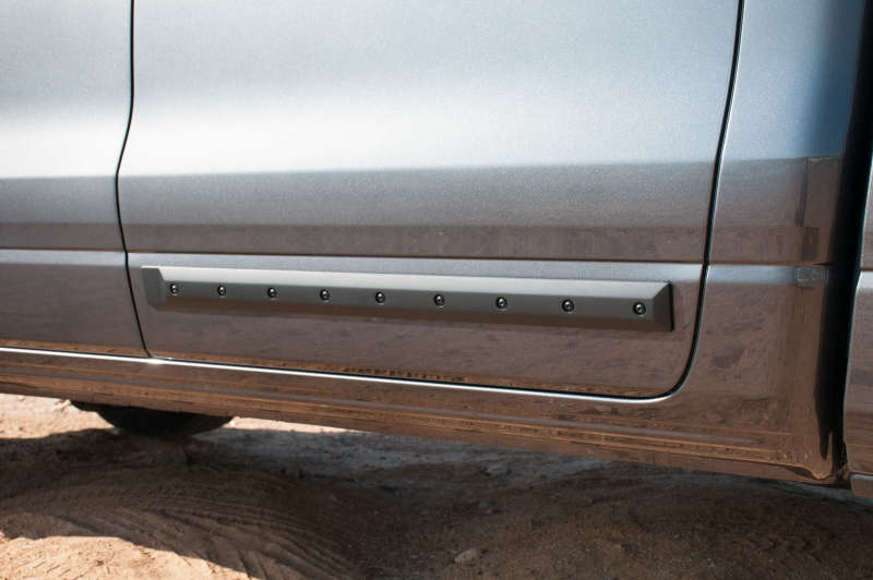 EGR Double Cab Front 41.5in Rear 28in Bolt-On Look Body Side Moldings (991574) 991574 991574 Photo - Mounted