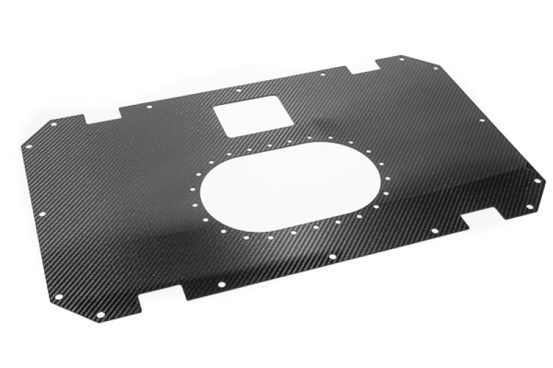 Radium Engineering Carbon Fiber Fuel Cell Lid - 10/14 Gallon 13-0410-01 13-0410-01 Photo - Primary