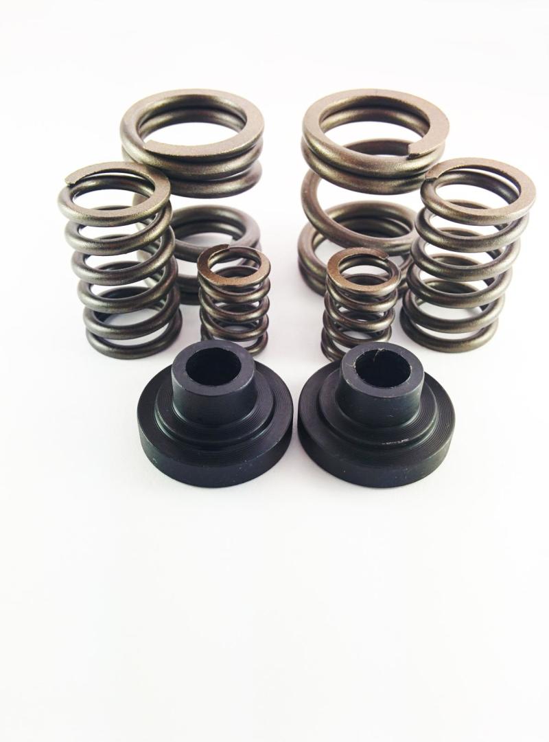 DDP 94-98 Dodge Cummins 5.9L 12V P-Pump 3000 & 4000 RPM Governor Spring Kit DDP 34KGSK DDP 34KGSK User 1