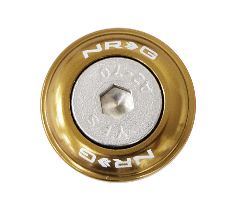 NRG Fender Washer Kit w/Rivets For Plastic (Titanium) - Set of 10 FW-100TI FW-100Ti Photo - Primary