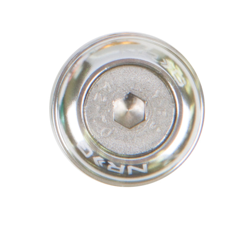 NRG Fender Washer Kit, Set of 10, Silver, Rivets for Metal FW-110SL Photo - Primary