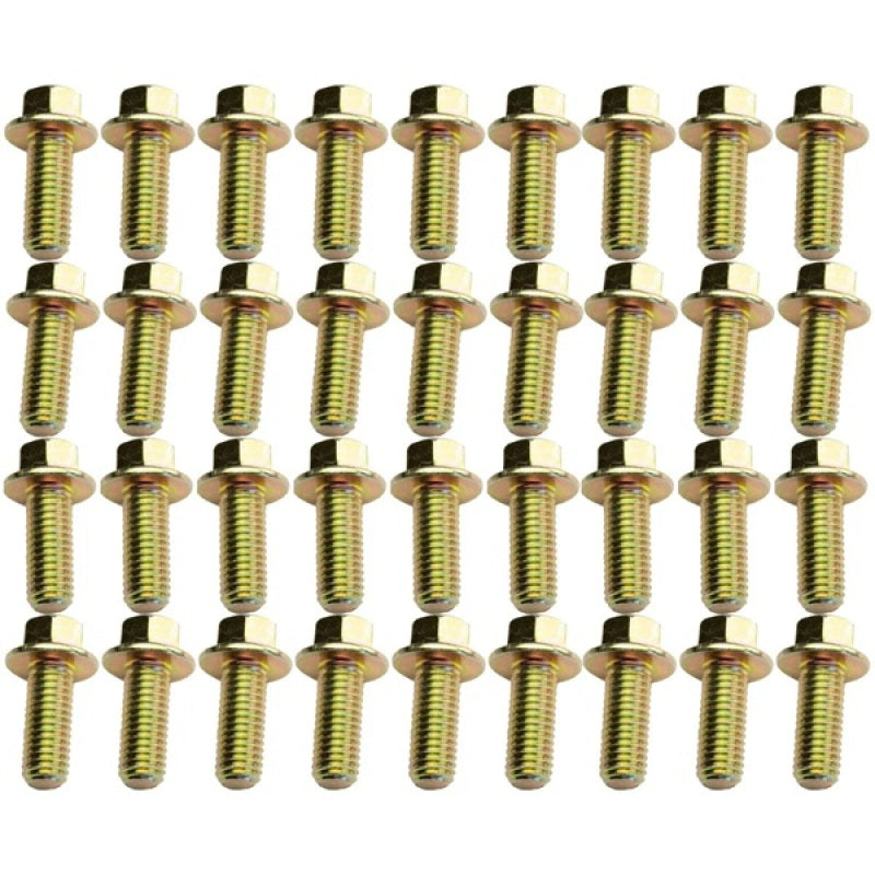 Industrial Injection Big Iron 89-02 Dodge Cummins Extended Oil Pan Bolt Kit BI591224VOPB BI591224VOPB User 1