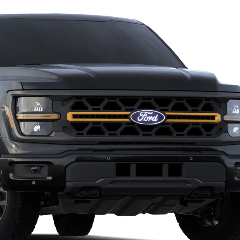 Putco 2024 Ford F-150 Front Emblem - With camera cutout (With Spray washer) 92609 92609 Photo - Primary