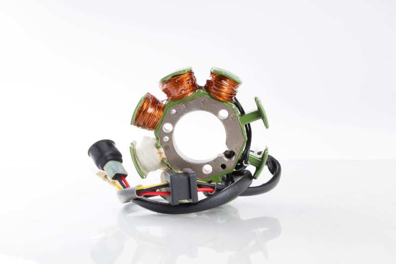 Ricks Motorsport Electrics Ricks Motorsport New OEM Style Kawasaki Stator 21-723 21-723 User 1
