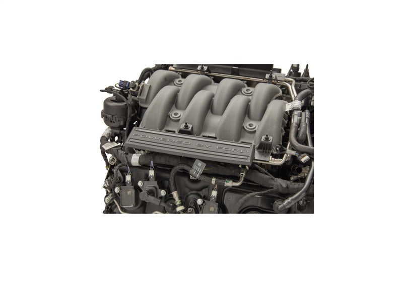 Ford Racing Gen 4 5.0L Coyote NA Crate Engine (No Cancel No Returns) M-6007-A50NAD M-6007-A50NAD Photo - Unmounted