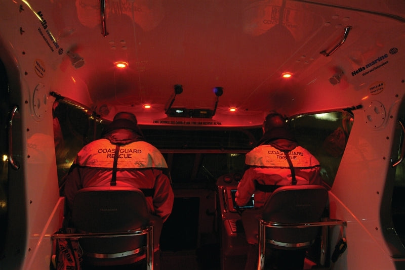 Hella '0500 Series' Slim Line White 12V DC Round Soft LED Courtesy Lig 980500041 Photo - Mounted