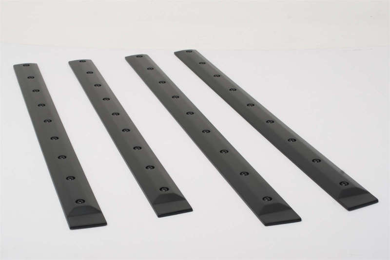 EGR Double Cab Front 41.5in Rear 28in Bolt-On Look Body Side Moldings (991574) 991574 991574 Photo - Primary