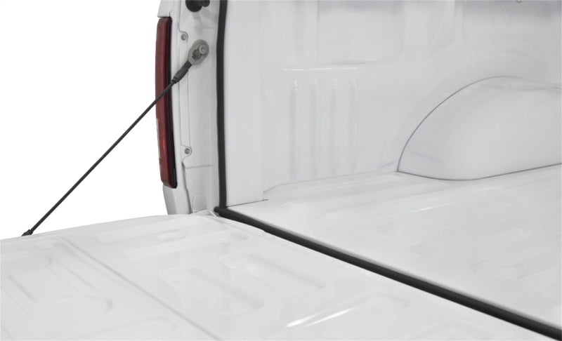 Access ories Trailseal Tailgate Gasket 1 Kit Fits All Pickups 30946 Photo - Primary