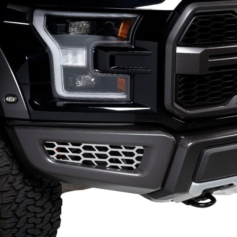Putco 18-20 Ford F-150 Raptor - Hex Shield - Polished SS Bumper Grille Inserts 82168 82168 Photo - Primary