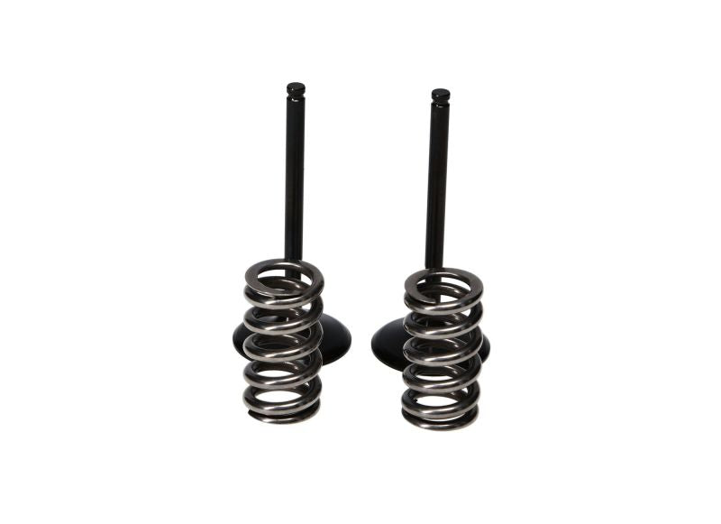 ProX 10-13 YZ450F Steel Intake Valve/Spring Kit 28.SIS2440-2 28.SIS2440-2 User 1