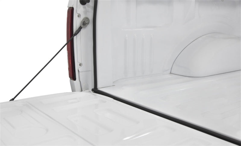 Access ories Trailseal Tailgate Gasket 1 Kit Fits All Pickups 30946 Photo - Primary