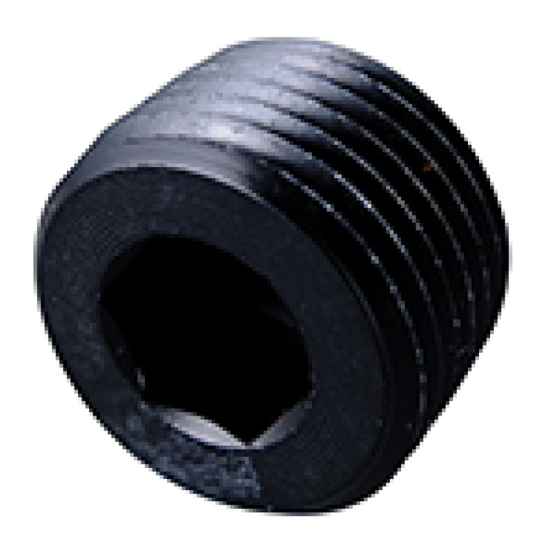 Fragola 1/4 NPT Pipe Plug- Internal Black 493203-BL 493203-BL User 1